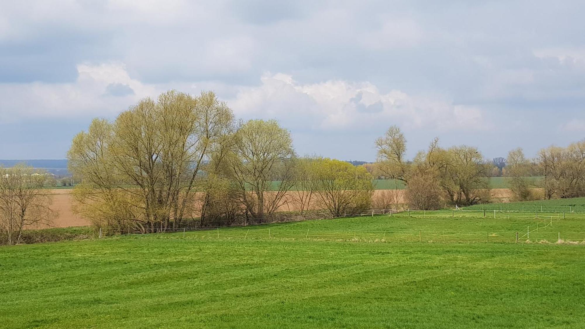 Ferienwohnung Leineufer Friedland  Εξωτερικό φωτογραφία